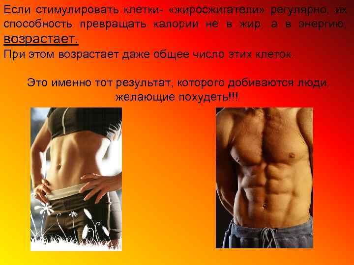Если стимулировать клетки- «жиросжигатели» регулярно, их способность превращать калории не в жир, а в