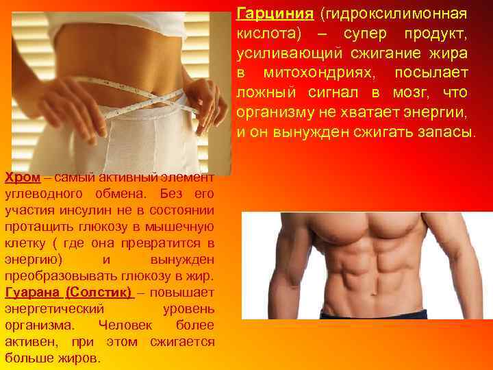 Гарциния (гидроксилимонная кислота) – супер продукт, усиливающий сжигание жира в митохондриях, посылает ложный сигнал