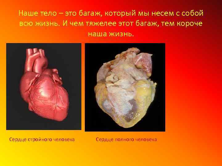 Наше тело – это багаж, который мы несем с собой всю жизнь. И чем