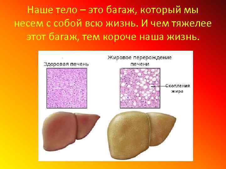 Наше тело – это багаж, который мы несем с собой всю жизнь. И чем