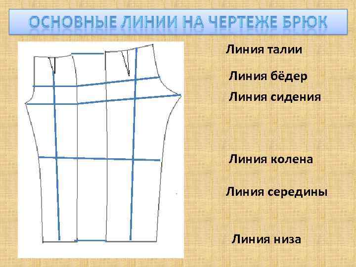 Линия талии Линия бёдер Линия сидения Линия колена Линия середины Линия низа 
