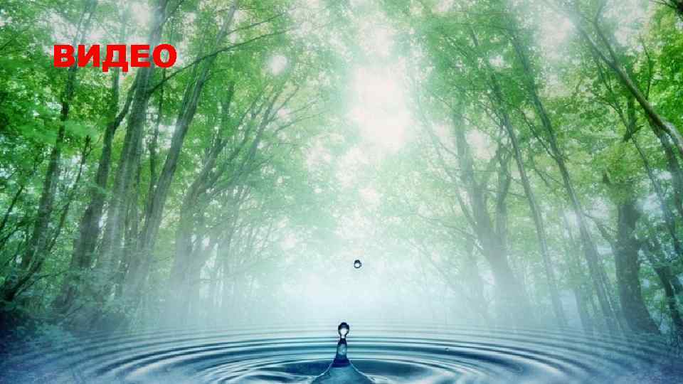 ВИДЕО 