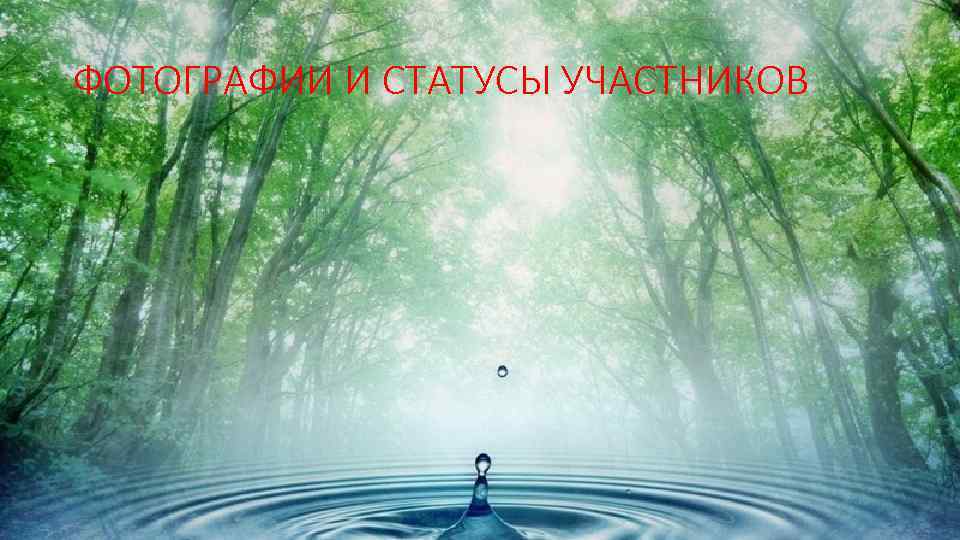 ФОТОГРАФИИ И СТАТУСЫ УЧАСТНИКОВ 