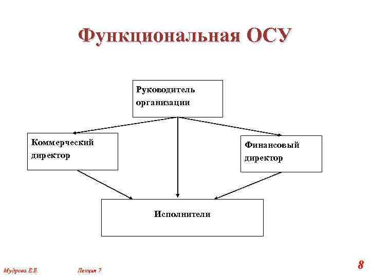 Функциональная ОСУ Руководитель организации Коммерческий директор Финансовый директор Исполнители Мудрова Е. Б. Лекция 7