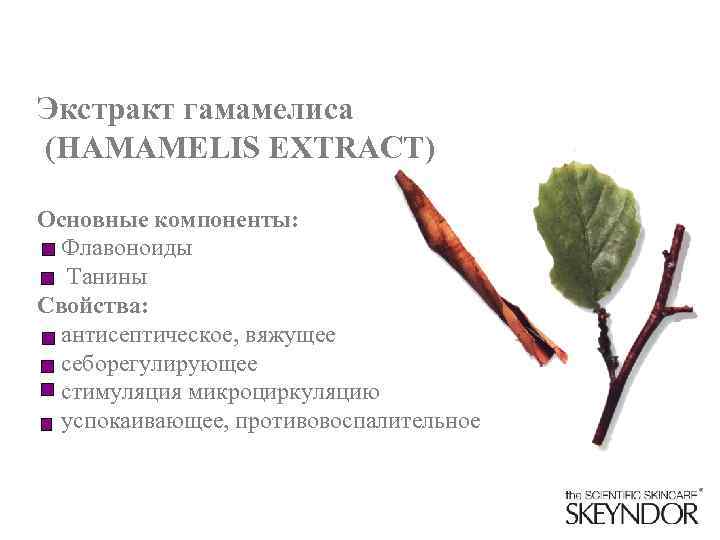 Экстракт гамамелиса (HAMAMELIS EXTRACT) Основные компоненты: Флавоноиды Танины Свойства: антисептическое, вяжущее себорегулирующее стимуляция микроциркуляцию