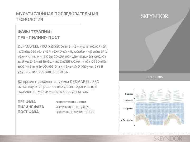 МУЛЬТИСЛОЙНАЯ ПОСЛЕДОВАТЕЛЬНАЯ ТЕХНОЛОГИЯ ФАЗЫ ТЕРАПИИ: ПРЕ · ПИЛИНГ· ПОСТ DERMAPEEL PRO разработана, как мультислойная