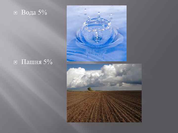  Вода 5% Пашня 5% 
