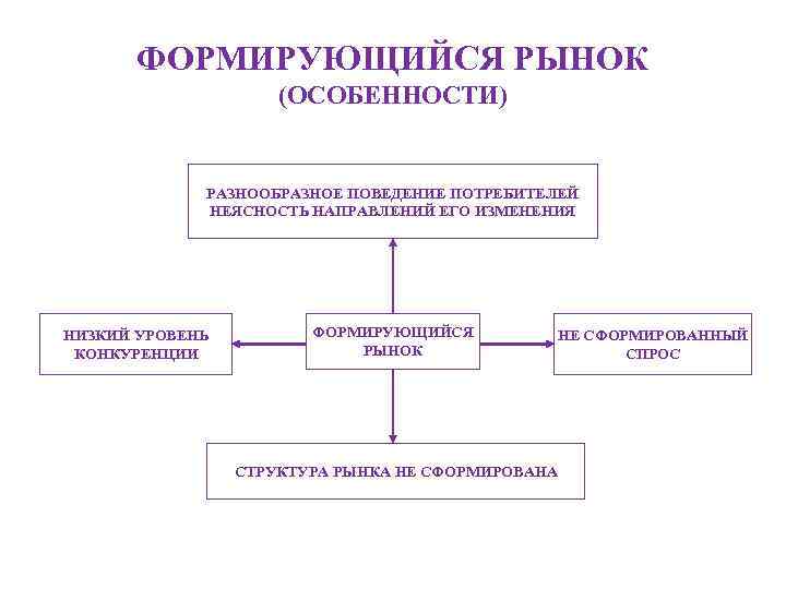 ФОРМИРУЮЩИЙСЯ РЫНОК (ОСОБЕННОСТИ) РАЗНООБРАЗНОЕ ПОВЕДЕНИЕ ПОТРЕБИТЕЛЕЙ НЕЯСНОСТЬ НАПРАВЛЕНИЙ ЕГО ИЗМЕНЕНИЯ НИЗКИЙ УРОВЕНЬ КОНКУРЕНЦИИ ФОРМИРУЮЩИЙСЯ