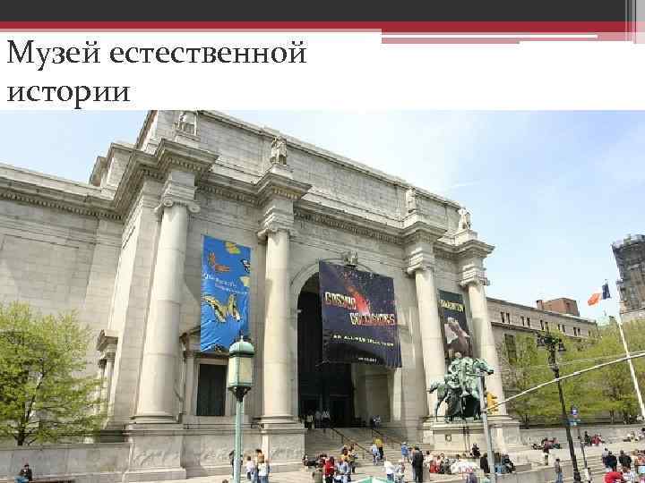 Музей естественной истории 