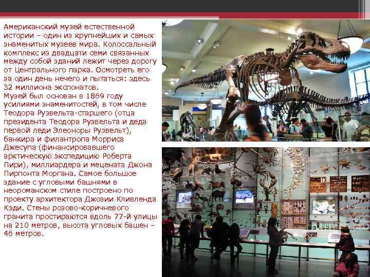 Американский музей естественной истории – один из крупнейших и самых знаменитых музеев мира. Колоссальный