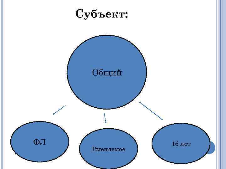 Субъект: Общий ФЛ Вменяемое 16 лет 