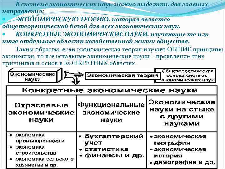 Общество финансы и экономика