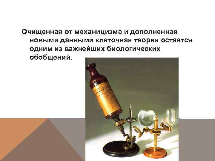 Очищенная от механицизма и дополненная новыми данными клеточная теория остается одним из важнейших биологических