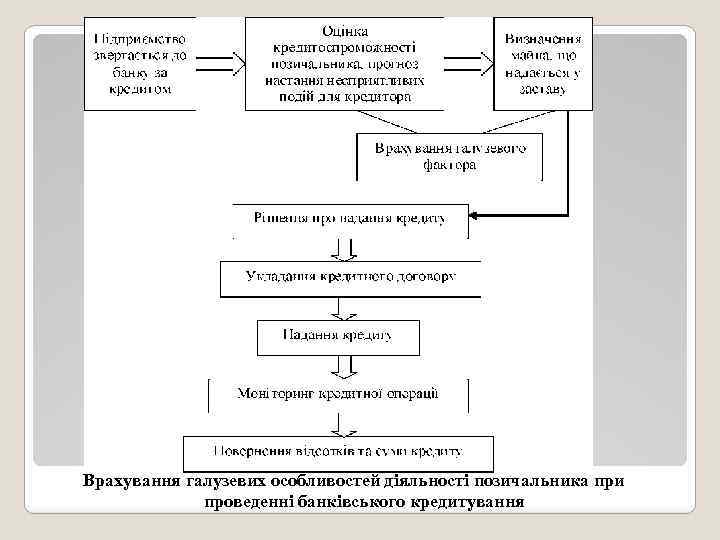 Врахування галузевих особливостей діяльності позичальника при проведенні банківського кредитування 