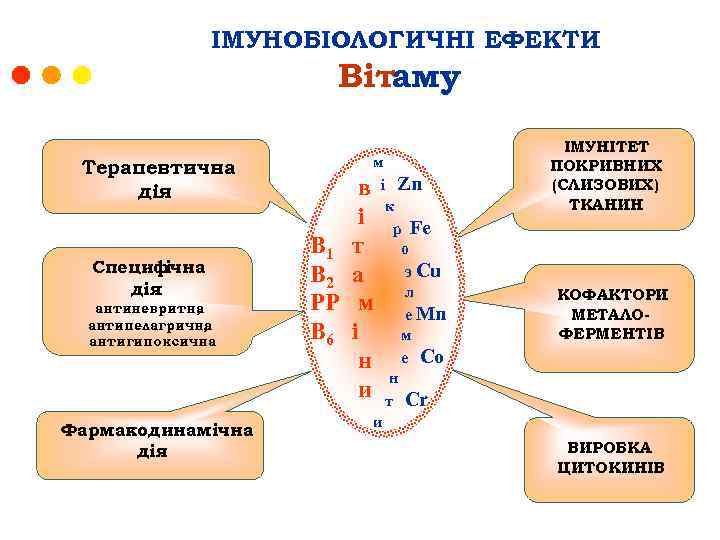 ІМУНОБІОЛОГИЧНІ ЕФЕКТИ Вітаму Терапевтична дія Специф ічна дія: антиневритна , антипелагрична , антигипоксична Фармакодинамічна