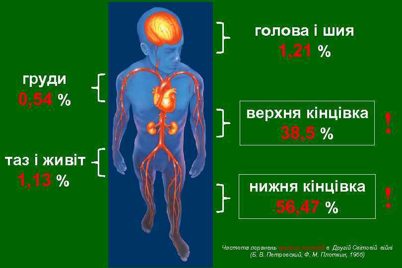 голова і шия 1, 21 % груди 0, 54 % таз і живіт 1,