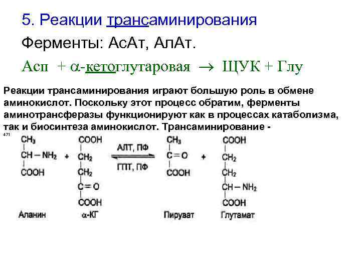 5. Реакции трансаминирования Ферменты: Ас. Ат, Ал. Ат. Асп + -кетоглутаровая ЩУК + Глу