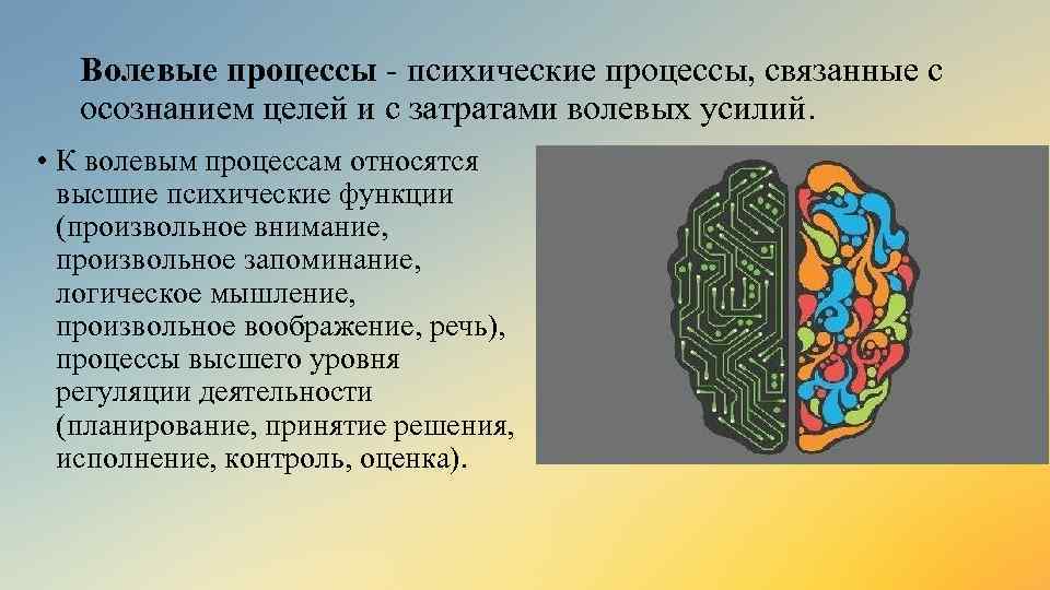 2 составить схему структуры волевого акта и указать волевые качества человека дать им определение