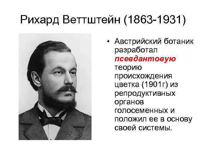 Рихард Веттштейн (1863 -1931) • Австрийский ботаник разработал псевдантовую теорию происхождения цветка (1901 г)