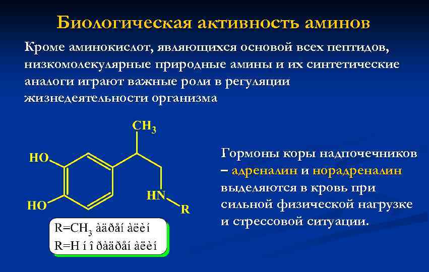 Амины являются соединениями. Биологическая активность аминокислот. Биологическое значение аминокислот. Медико-биологическое значение аминокислот. Производные Аминов.
