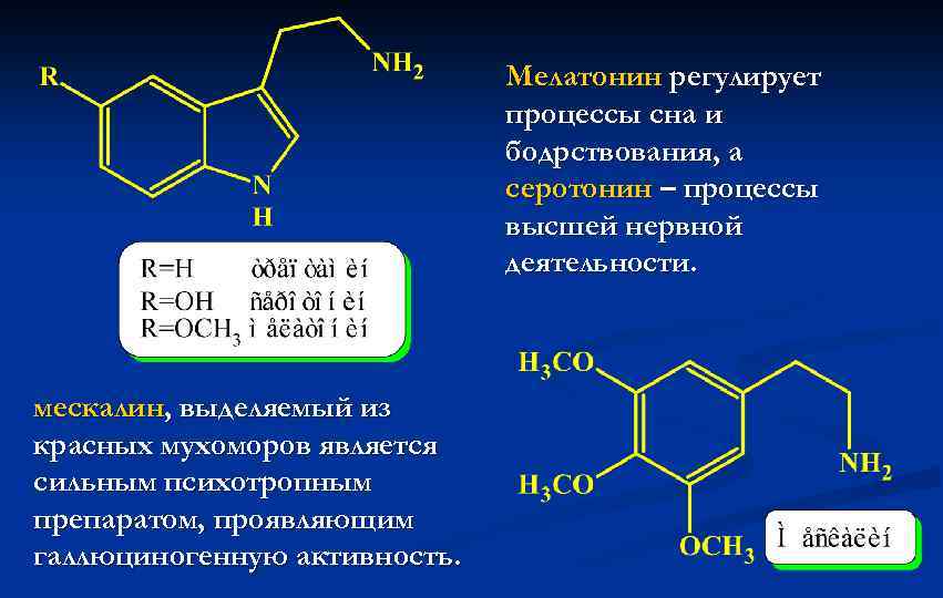 Мелатонин картинки для презентации