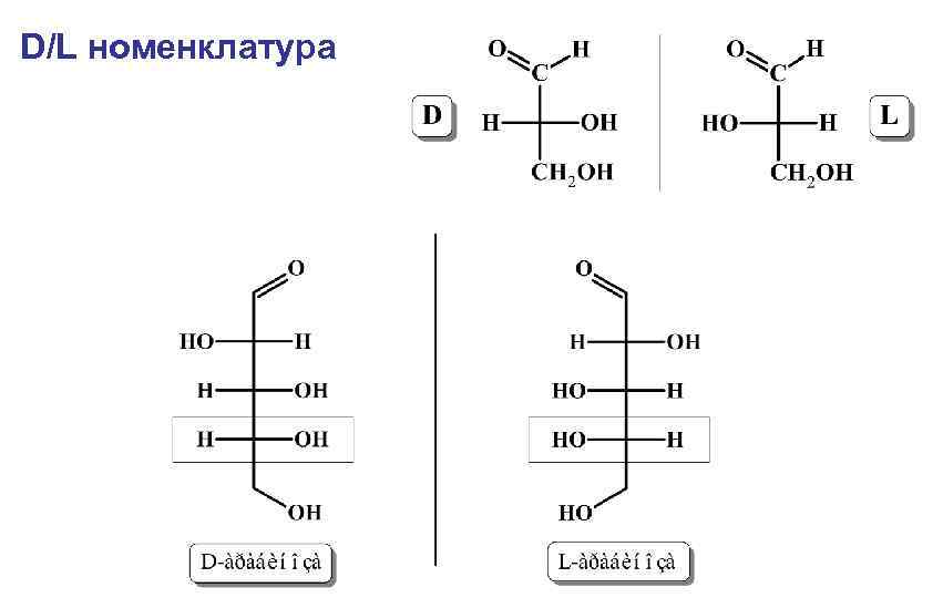 D/L номенклатура 