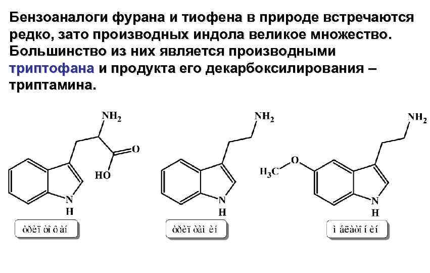 Бензоаналоги фурана и тиофена в природе встречаются редко, зато производных индола великое множество. Большинство