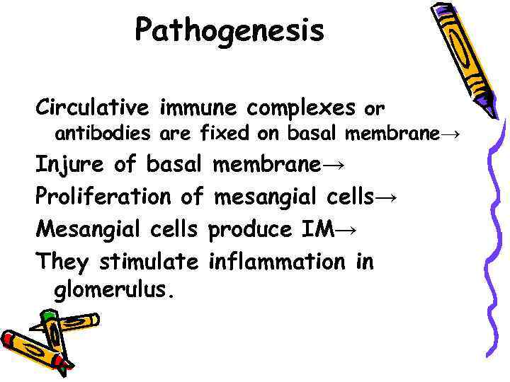 Pathogenesis Circulative immune complexes or antibodies are fixed on basal membrane→ Injure of basal