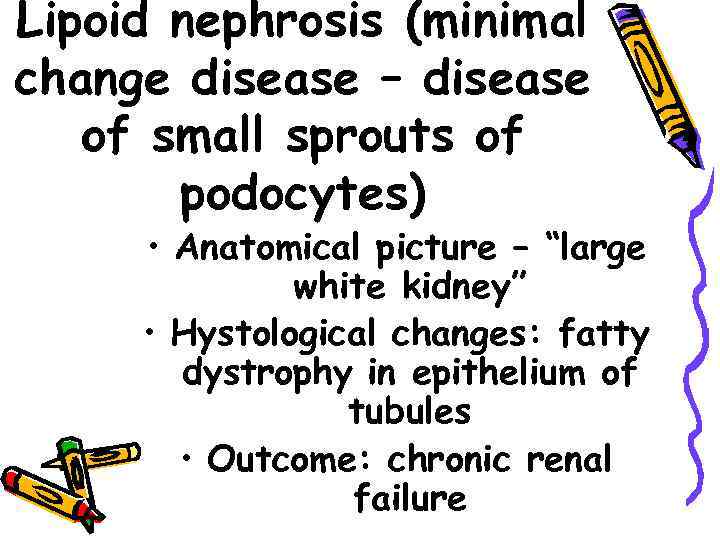 Lipoid nephrosis (minimal change disease – disease of small sprouts of podocytes) • Anatomical