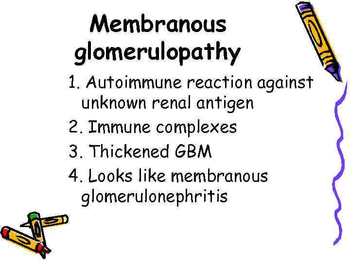 Membranous glomerulopathy 1. Autoimmune reaction against unknown renal antigen 2. Immune complexes 3. Thickened