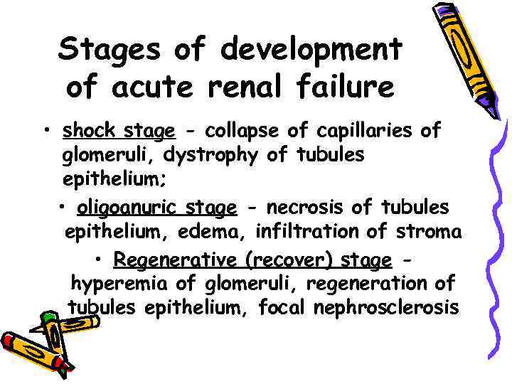 Stages of development of acute renal failure • shock stage - collapse of capillaries