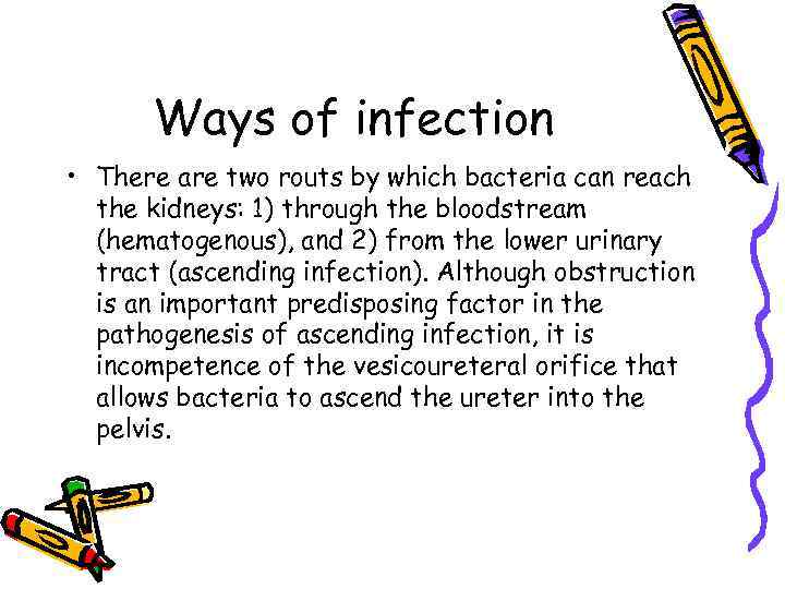 Ways of infection • There are two routs by which bacteria can reach the