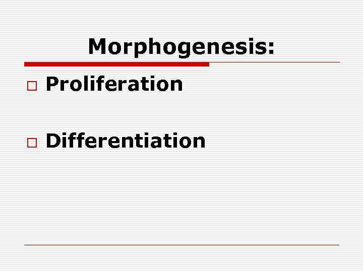 Моrphogenesis: o Proliferation o Differentiation 