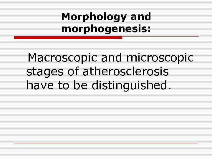 Morphology and morphogenesis: Macroscopic and microscopic stages of atherosclerosis have to be distinguished. 