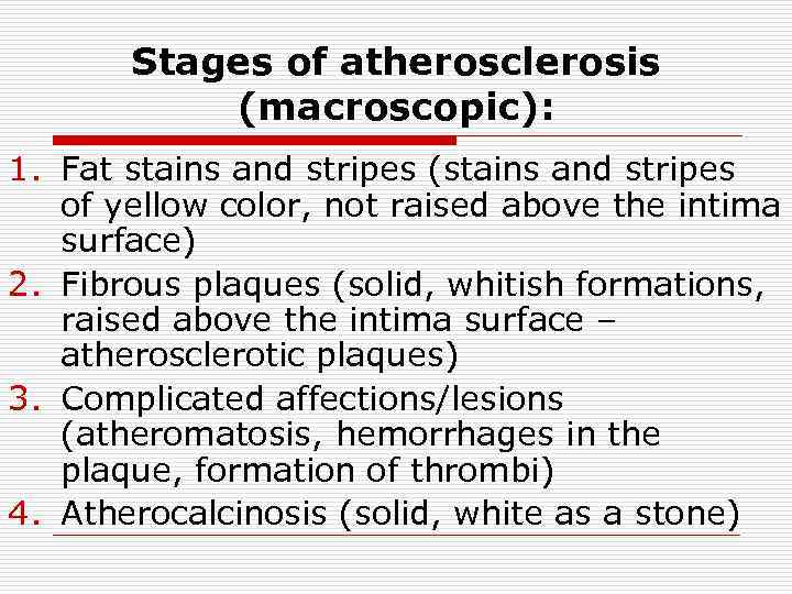 Stages of atherosclerosis (macroscopic): 1. Fat stains and stripes (stains and stripes of yellow