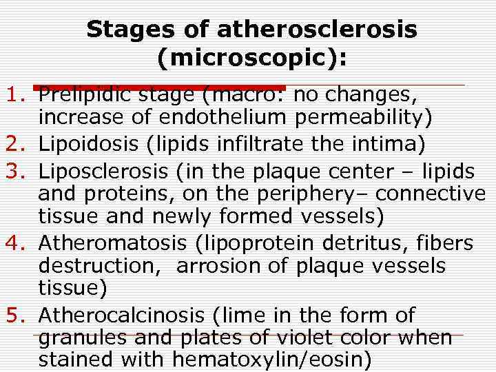 Stages of atherosclerosis (microscopic): 1. Prelipidic stage (macro: no changes, increase of endothelium permeability)