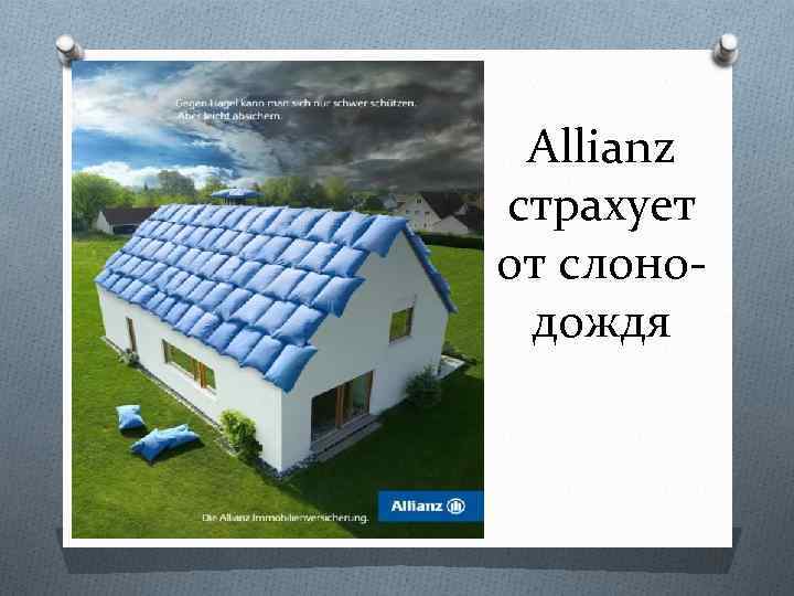 Allianz страхует от слонодождя 