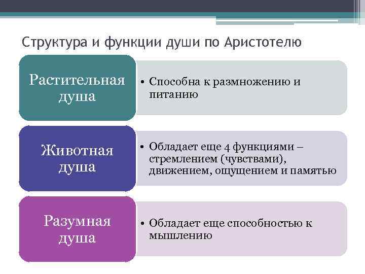 Структура и функции души по Аристотелю Растительная душа • Способна к размножению и питанию