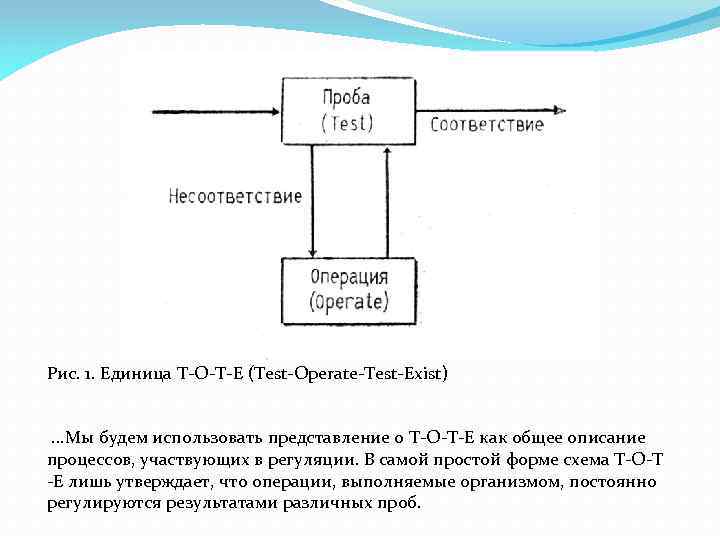 Exist test. Модели тоте (Test-operate – Test-exit) Миллера, Галантера и Прибрама.