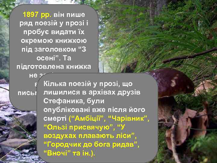 1897 рр. він пише ряд поезій у прозі і пробує видати їх окремою книжкою