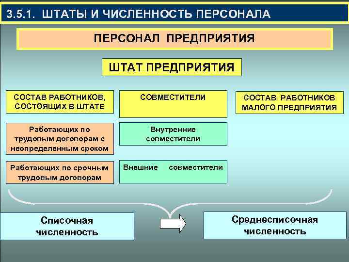 Штат сотрудников организации