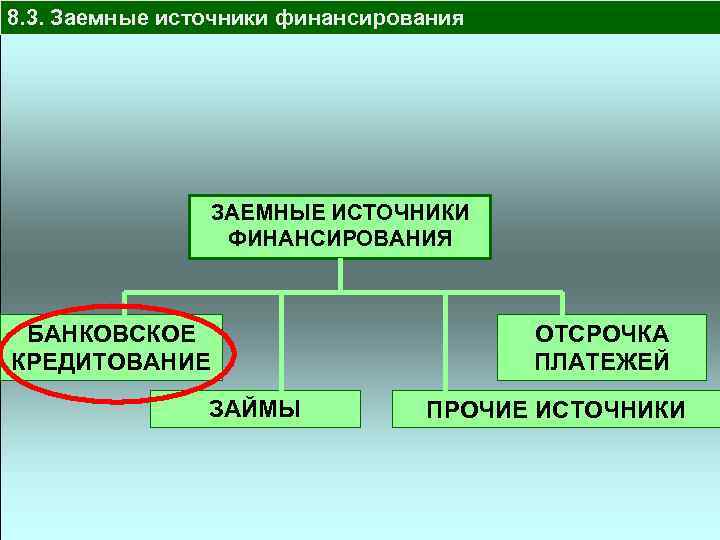 8. 3. Заемные источники финансирования ЗАЕМНЫЕ ИСТОЧНИКИ ФИНАНСИРОВАНИЯ БАНКОВСКОЕ КРЕДИТОВАНИЕ ЗАЙМЫ ОТСРОЧКА ПЛАТЕЖЕЙ ПРОЧИЕ