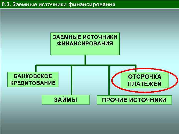 8. 3. Заемные источники финансирования ЗАЕМНЫЕ ИСТОЧНИКИ ФИНАНСИРОВАНИЯ БАНКОВСКОЕ КРЕДИТОВАНИЕ ЗАЙМЫ ОТСРОЧКА ПЛАТЕЖЕЙ ПРОЧИЕ