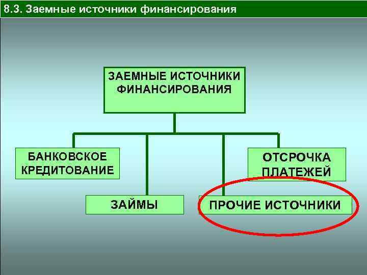 8. 3. Заемные источники финансирования ЗАЕМНЫЕ ИСТОЧНИКИ ФИНАНСИРОВАНИЯ БАНКОВСКОЕ КРЕДИТОВАНИЕ ЗАЙМЫ ОТСРОЧКА ПЛАТЕЖЕЙ ПРОЧИЕ