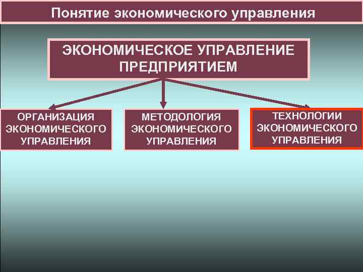 Понятие экономического управления ЭКОНОМИЧЕСКОЕ УПРАВЛЕНИЕ ПРЕДПРИЯТИЕМ ОРГАНИЗАЦИЯ ЭКОНОМИЧЕСКОГО УПРАВЛЕНИЯ МЕТОДОЛОГИЯ ЭКОНОМИЧЕСКОГО УПРАВЛЕНИЯ ТЕХНОЛОГИИ ЭКОНОМИЧЕСКОГО