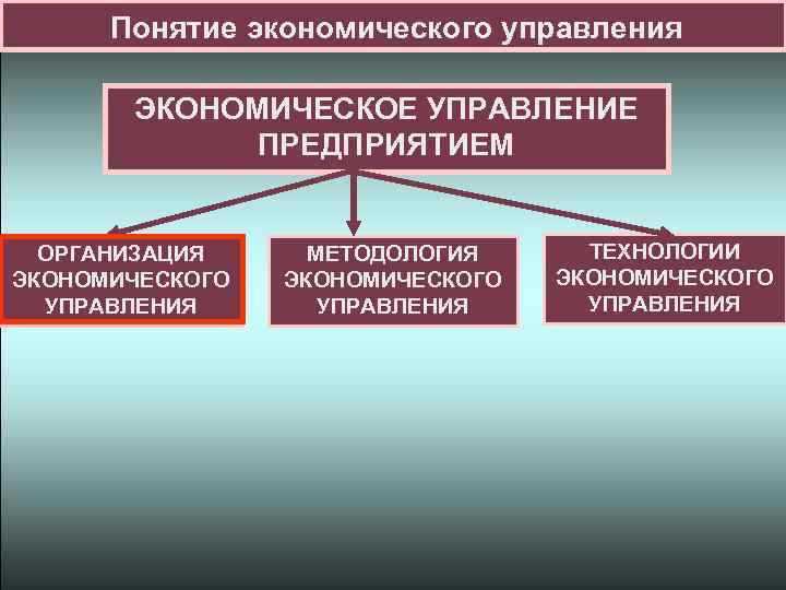 Понятие экономического управления ЭКОНОМИЧЕСКОЕ УПРАВЛЕНИЕ ПРЕДПРИЯТИЕМ ОРГАНИЗАЦИЯ ЭКОНОМИЧЕСКОГО УПРАВЛЕНИЯ МЕТОДОЛОГИЯ ЭКОНОМИЧЕСКОГО УПРАВЛЕНИЯ ТЕХНОЛОГИИ ЭКОНОМИЧЕСКОГО