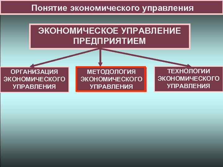 Понятие экономического управления ЭКОНОМИЧЕСКОЕ УПРАВЛЕНИЕ ПРЕДПРИЯТИЕМ ОРГАНИЗАЦИЯ ЭКОНОМИЧЕСКОГО УПРАВЛЕНИЯ МЕТОДОЛОГИЯ ЭКОНОМИЧЕСКОГО УПРАВЛЕНИЯ ТЕХНОЛОГИИ ЭКОНОМИЧЕСКОГО