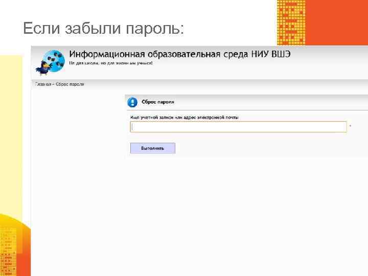 Если забыли пароль: 