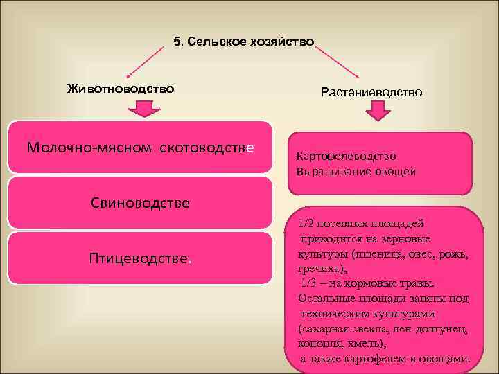 5. Сельское хозяйство Животноводство Молочно-мясном скотоводстве Растениеводство Картофелеводство Выращивание овощей Свиноводстве Птицеводстве. 1/2 посевных