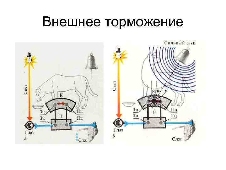 Внешнее торможение 